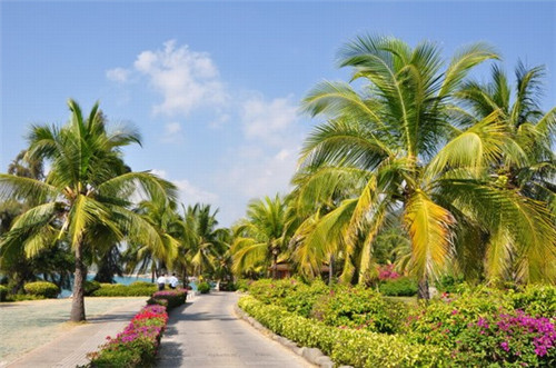 仙隐小鹿日式料理