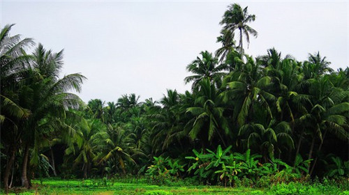 美食屋韩国料理