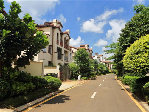 摩可奶茶加盟店在沁阳市口碑怎么样，沁阳市奶茶店值得投吗