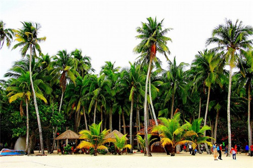 秦川牛肉加盟费多少