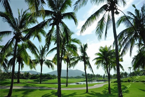 创业大厦凉品店怎么样