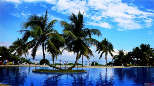 加盟驯鹿咖啡营业额多少可以回本