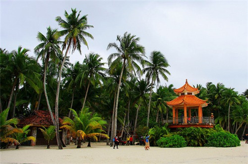 杨记黄焖鸡米饭全国有几家店铺