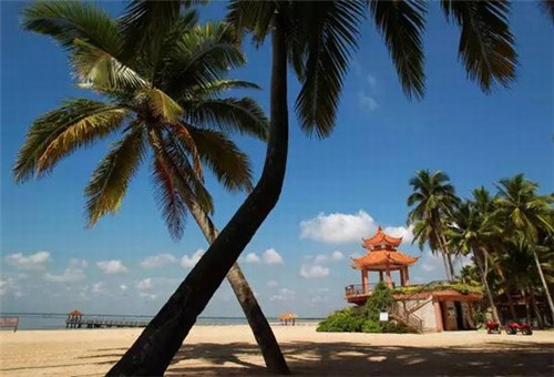 杞县职业裙装加盟创业选择什么项目风险低