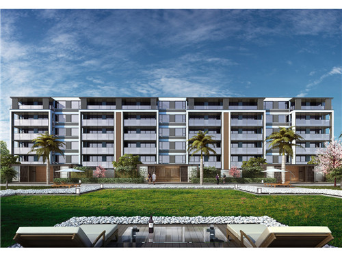 香菜炒韭菜苔可以吃吗（香菜炒韭菜怎么做好吃）