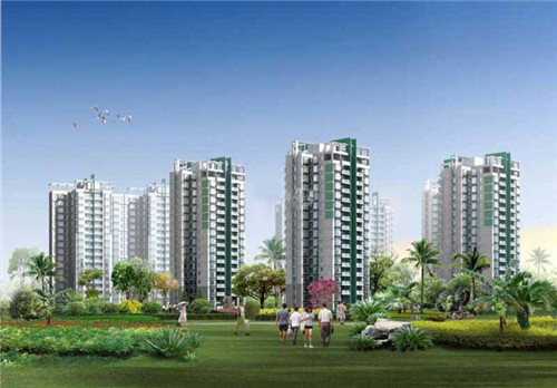 韭黄炒蛋炒百叶可以吃吗（韭黄炒百合）